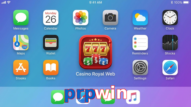 Payment and PKR controls in Prpwin